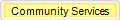 Community Services